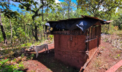 Dog beside rustic outdoor shelter in forest