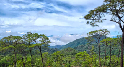 Scenic mountain landscape with trees and clouds.