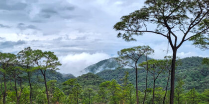 Scenic forest view with clouds and hills.