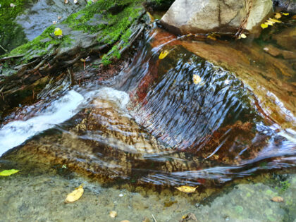 Small waterfall over mossy rocks and stream.