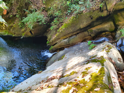 Small waterfall into rock pool in forest