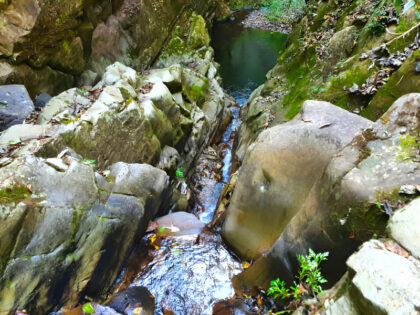 Small rocky waterfall leading to pond.