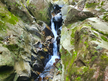 Small waterfall flowing through rocky crevice