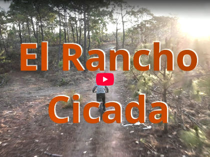 Videos Galería
