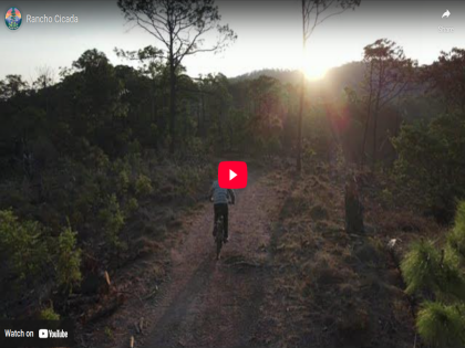 Mountain biker on trail at sunrise